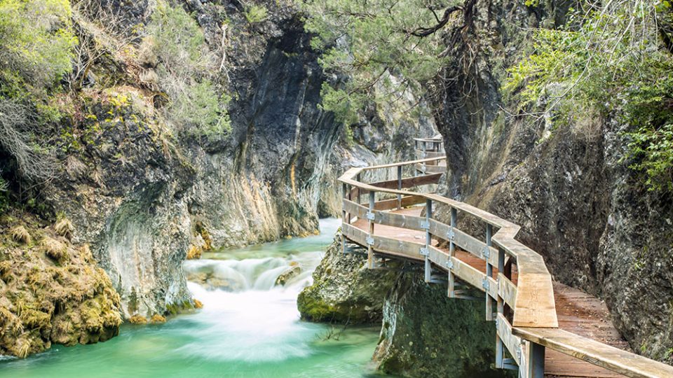 cerrada-de-elias-cazorla
